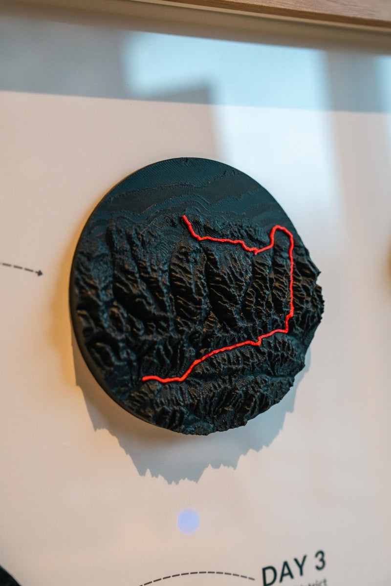 Load image into Gallery viewer, Artifact 24×36 | Gallery | Multi-route, expedition-scale
