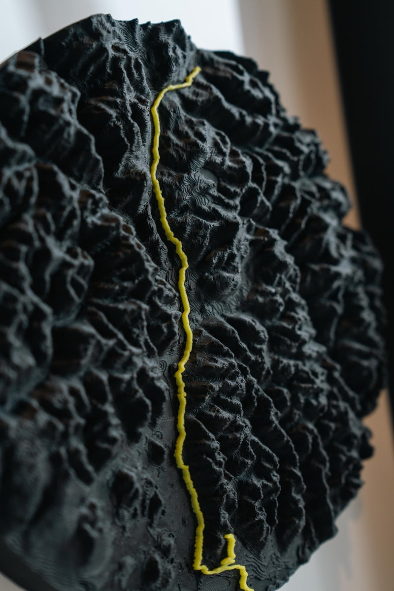 Load image into Gallery viewer, Artifact 20×20 | Deepset | The centrepiece, built around the medal
