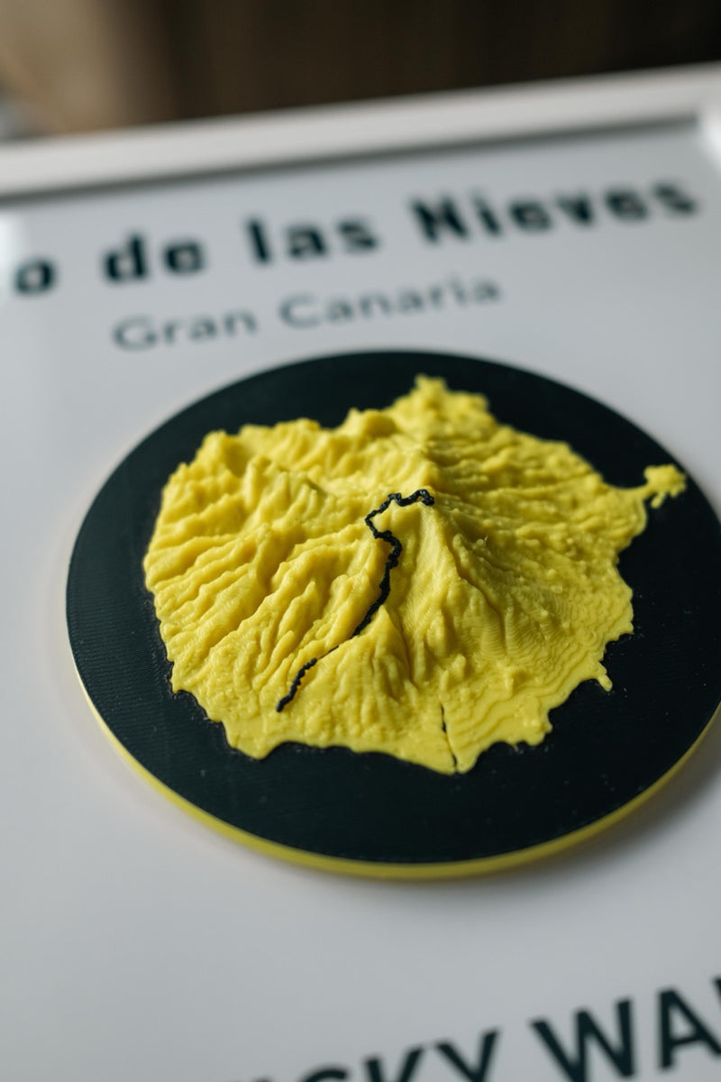 Load image into Gallery viewer, The Pico de las Nieves Artifact
