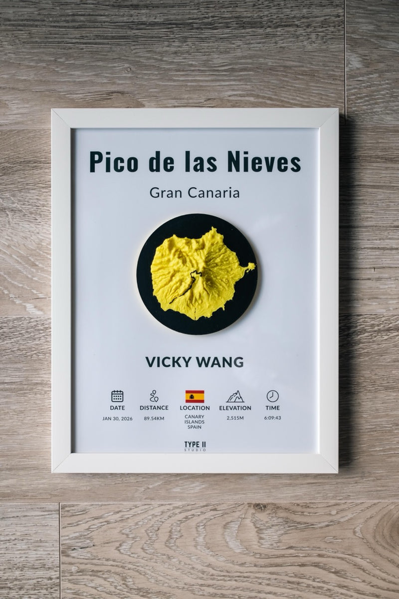 Load image into Gallery viewer, The Pico de las Nieves Artifact
