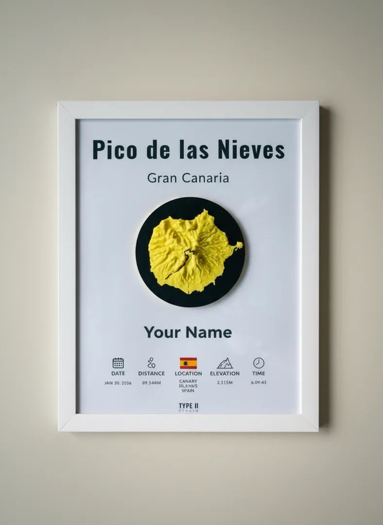Load image into Gallery viewer, The Pico de las Nieves Artifact
