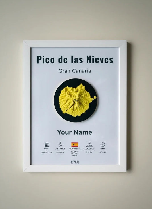 The Pico de las Nieves Artifact