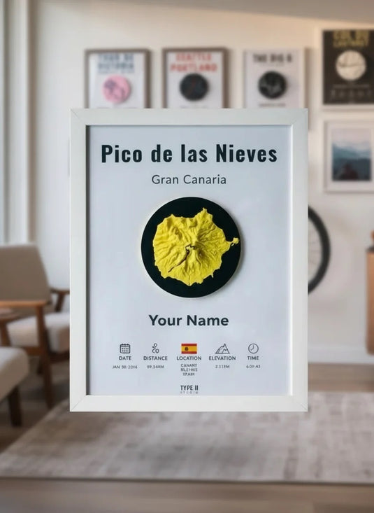 The Pico de las Nieves Artifact